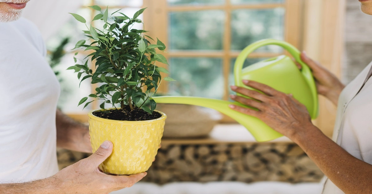 Taking care of plants is a very important thing.