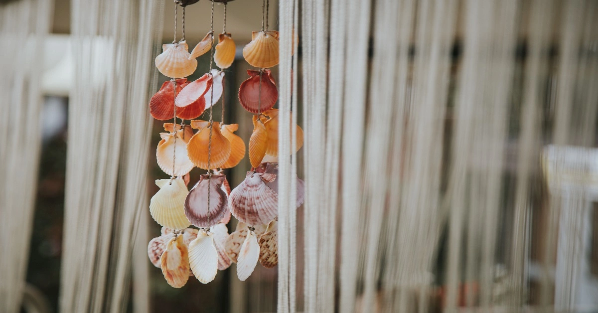 For crafting with seashells, we need seashells, cardboard, paint, beads, pencil, glue, paint brush, thread, and scissors.
